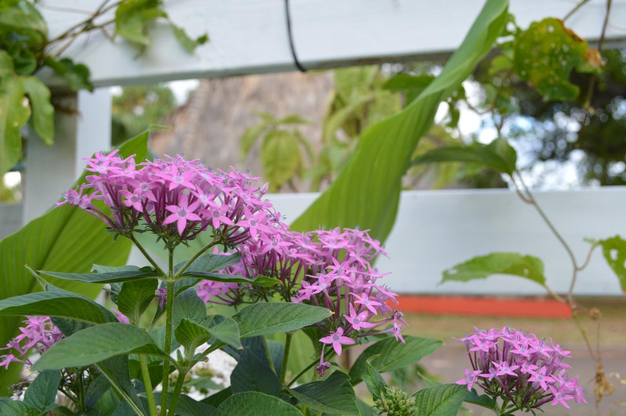 The Lahaina Beach House Hostel Екстериор снимка